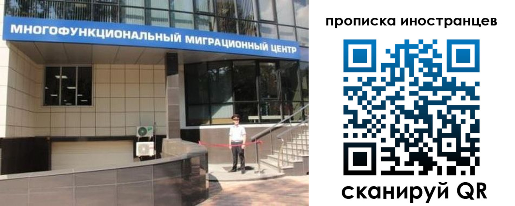 прописка поиск в Донском